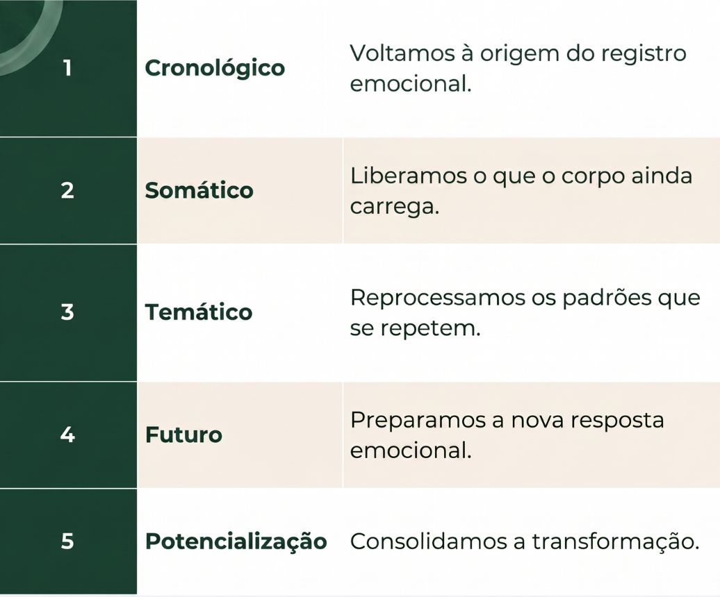 As 5 etapas do método: Cronológico, Somático, Temático, Futuro, Potencialização